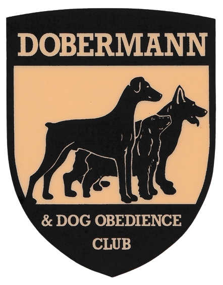 Dog sales obedience club